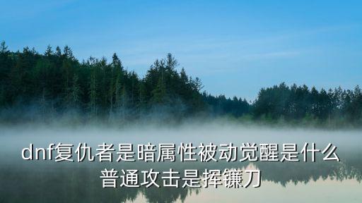 dnf复仇是什么属性的，dnf复仇满属性