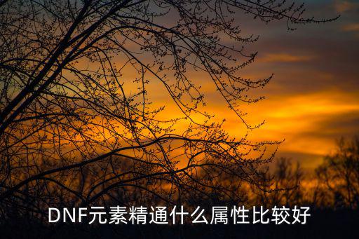 dnf元素现在算什么属性，DNF元素师是什么属性的