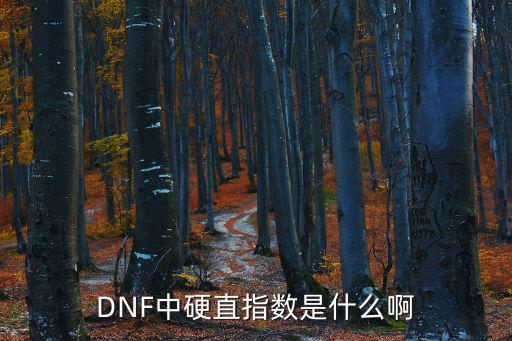 DNF中硬直指数是什么啊