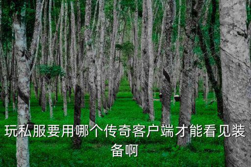 玩私服要用哪个传奇客户端才能看见装备啊