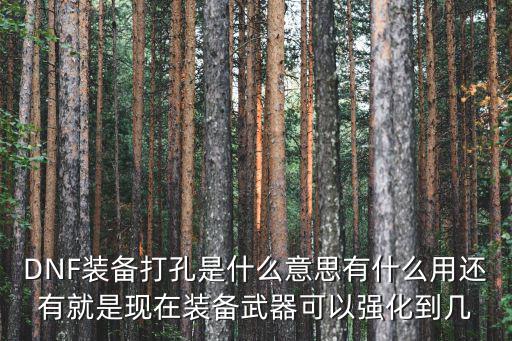 DNF装备打孔是什么意思有什么用还有就是现在装备武器可以强化到几