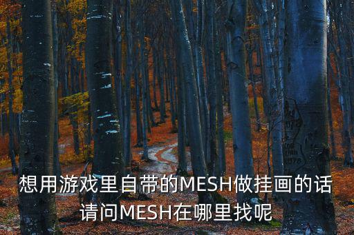 想用游戏里自带的MESH做挂画的话请问MESH在哪里找呢