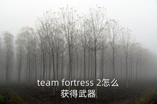 team fortress 2怎么获得武器
