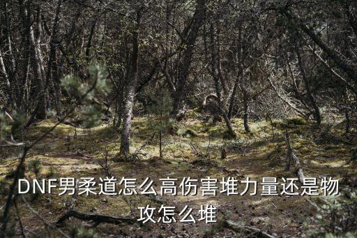 DNF男柔道怎么高伤害堆力量还是物攻怎么堆