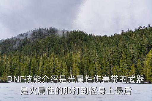 dnf有什么要是光属性，dnf宠物有光属性是甚么意思