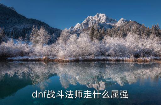 dnf战斗法师走什么属强