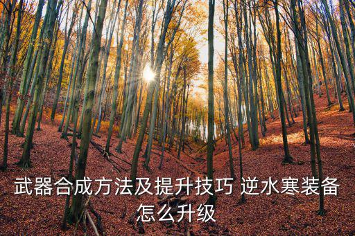 武器合成方法及提升技巧 逆水寒装备怎么升级