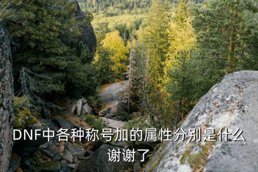 DNF中各种称号加的属性分别是什么谢谢了