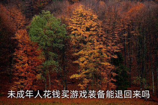 未成年人花钱买游戏装备能退回来吗
