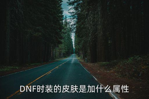 DNF时装的皮肤是加什么属性