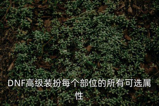 dnf装扮下装选什么属性，剑帝龙袍下装选什么属性