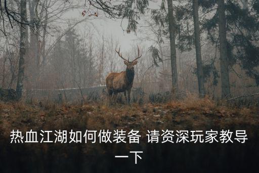 热血江湖如何做装备 请资深玩家教导一下