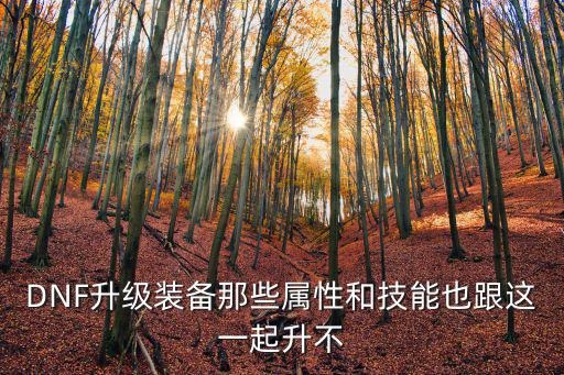 DNF升级装备那些属性和技能也跟这一起升不