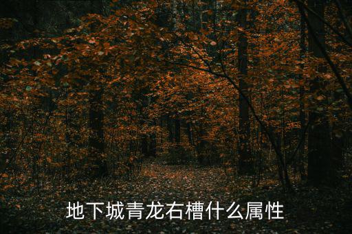 地下城青龙右槽什么属性
