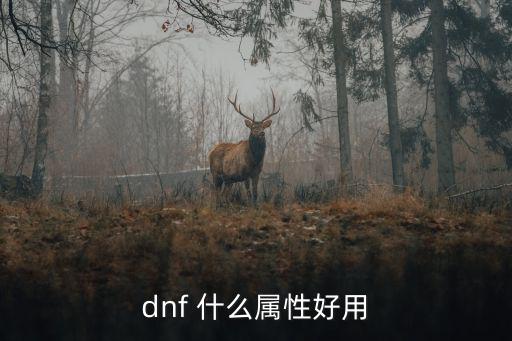 dnf 什么属性好用