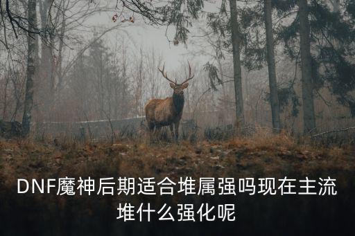 DNF魔神后期适合堆属强吗现在主流堆什么强化呢