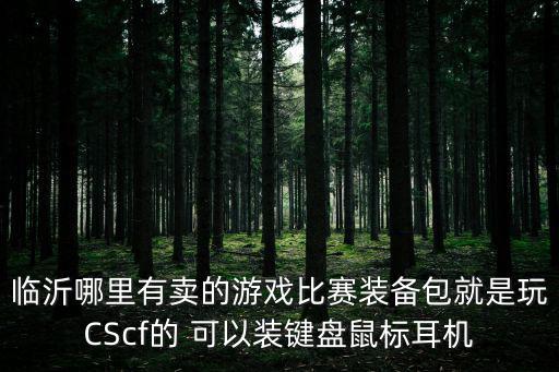 临沂哪里有卖的游戏比赛装备包就是玩CScf的 可以装键盘鼠标耳机