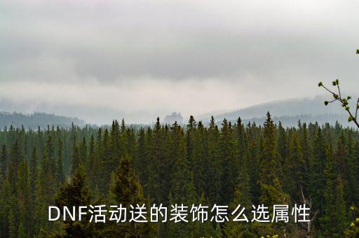 dnf结婚属性装饰买什么，暗帝的结婚礼包应选择什么属性