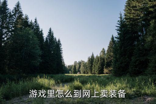 游戏里怎么到网上卖装备