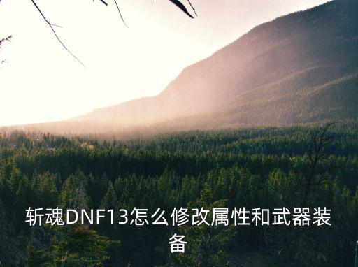斩魂DNF13怎么修改属性和武器装备