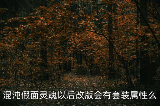 混沌假面灵魂以后改版会有套装属性么
