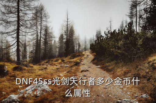 dnf天行者是什么属性，DNF45ss光剑天行者多少金币什么属性