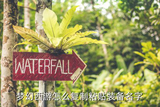 梦幻西游怎么复制粘贴装备名字