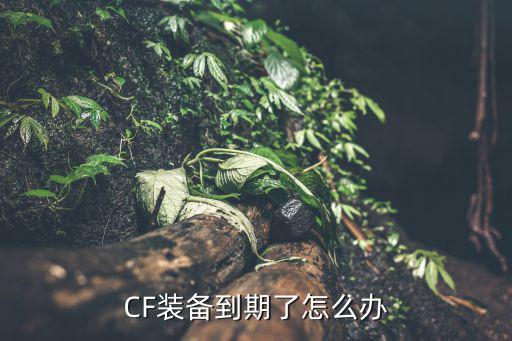 游戏装备过期怎么处理，玩家不用了的装备该怎样处理