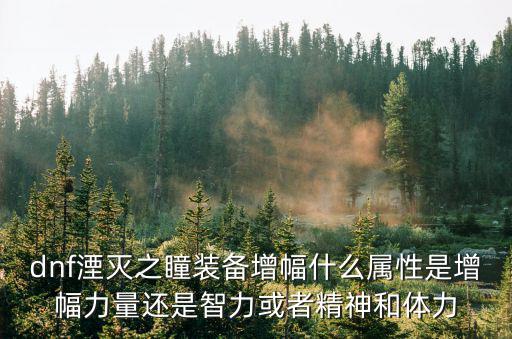 dnf湮灭之瞳什么属性，dnf湮灭之瞳装备增幅什么属性是增幅力量还是智力或者精神和体力