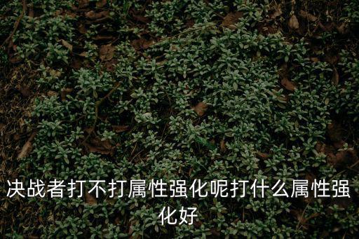 dnf决战者走什么属性，决战者打不打属性强化呢打什么属性强化好