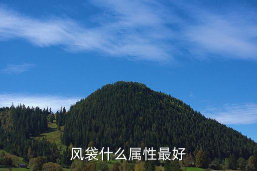 风袋什么属性最好