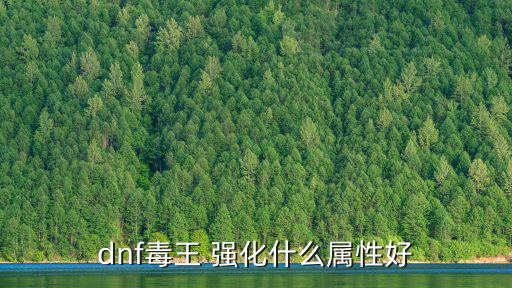 dnf毒王 强化什么属性好