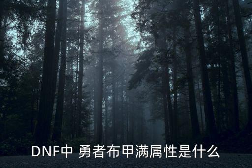 dnf本命甲多了什么属性，DNF全承重甲的属性是什么