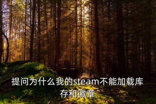 提问为什么我的steam不能加载库存和徽章