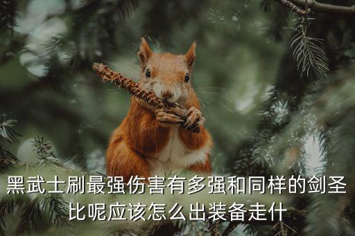 黑武士刷最强伤害有多强和同样的剑圣比呢应该怎么出装备走什
