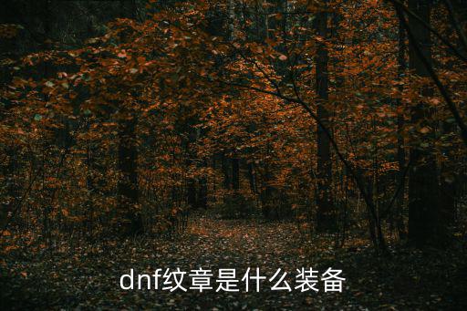 dnf纹章有什么属性，dnf纹章是什么装备