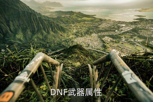 dnf龙枪武器选什么属性，DNF武器属性