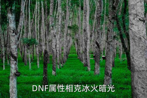 dnf暗属性攻击克制什么，DNF攻击属性的相克