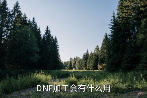 DNF加工会有什么用