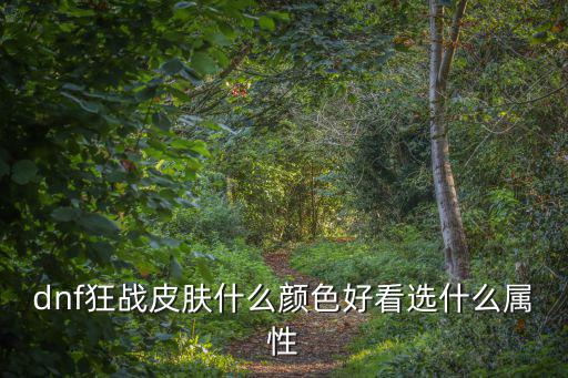 dnf狂战皮肤什么颜色好看选什么属性