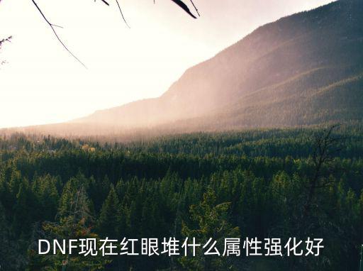 DNF现在红眼堆什么属性强化好