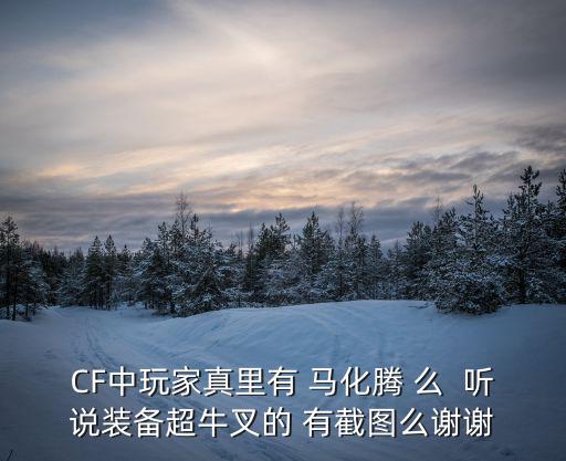 CF中玩家真里有 马化腾 么  听说装备超牛叉的 有截图么谢谢
