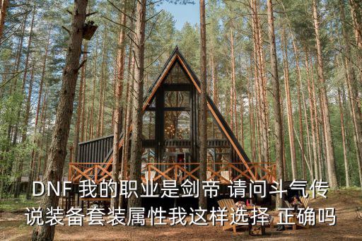 DNF 我的职业是剑帝 请问斗气传说装备套装属性我这样选择 正确吗