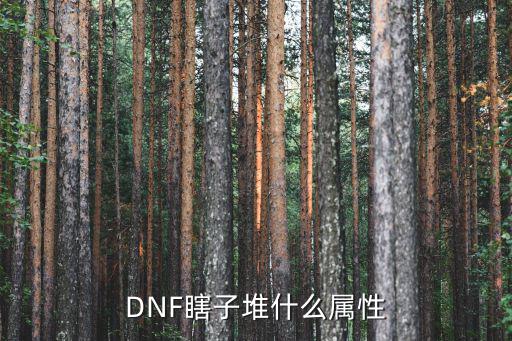 DNF瞎子堆什么属性