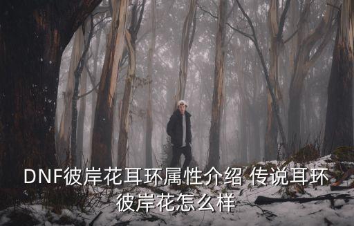 DNF彼岸花耳环属性介绍 传说耳环彼岸花怎么样