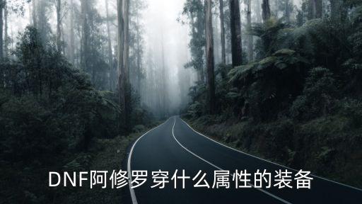 阿修罗堆什么属性dnf，DNF阿修罗穿什么属性的装备