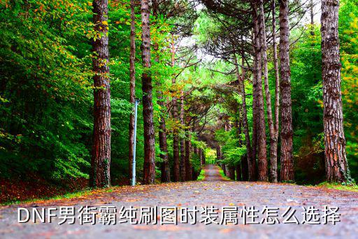 DNF男街霸纯刷图时装属性怎么选择
