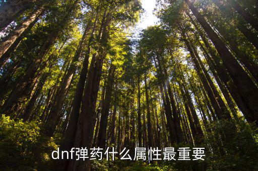 dnf弹药什么属性最重要