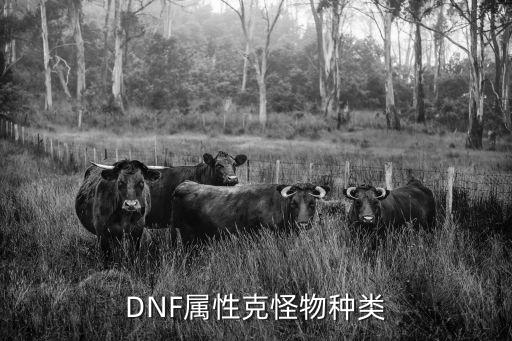 DNF属性克怪物种类