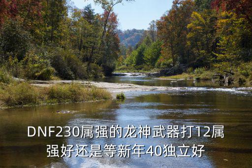 dnf龙神带什么属性攻击，DNF230属强的龙神武器打12属强好还是等新年40独立好